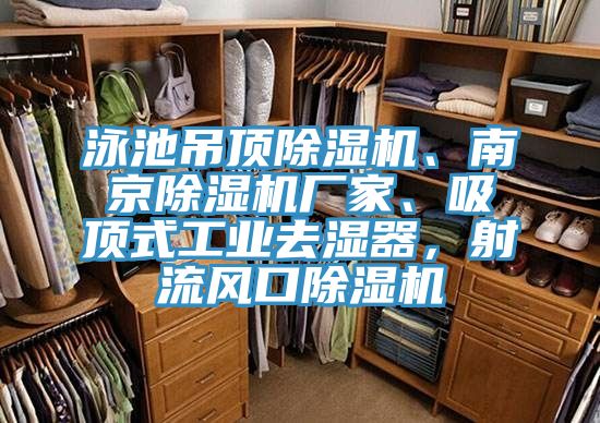泳池吊頂小黄片软件免费下载、南京小黄片软件免费下载廠家、吸頂式工業去濕器，射流風口小黄片软件免费下载