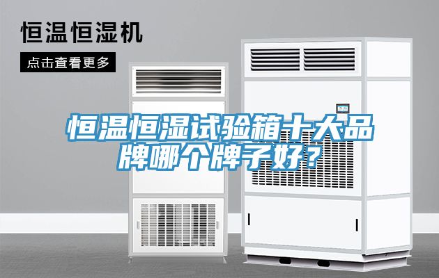 恒溫恒濕試驗箱十大品牌哪個牌子好？