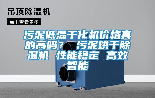 汙泥低溫幹化機價格真的高嗎？ 汙泥烘幹小黄片软件免费下载 性能穩定 高效智能