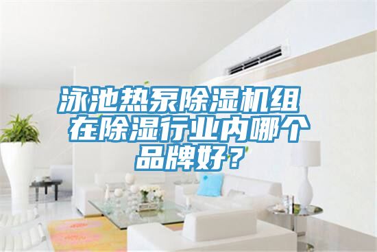 泳池熱泵小黄片软件免费下载組 在除濕行業內哪個品牌好？