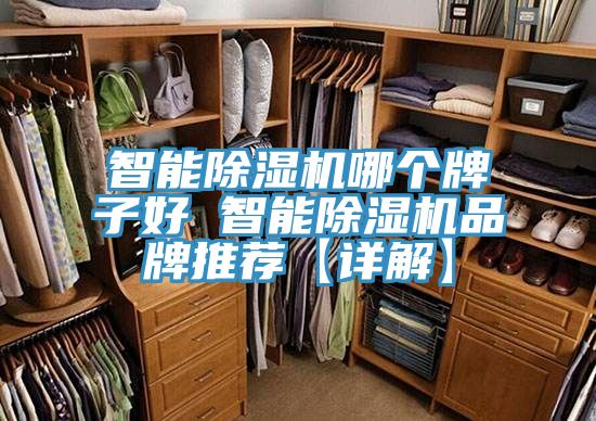 智能小黄片软件免费下载哪個牌子好 智能小黄片软件免费下载品牌推薦【詳解】