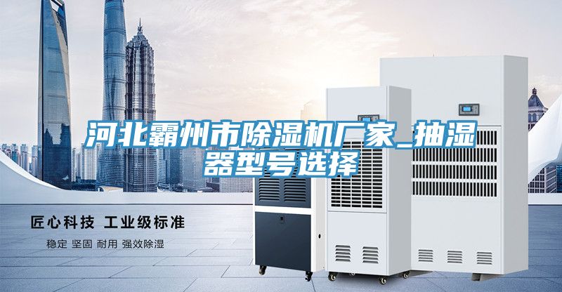 河北霸州市小黄片软件免费下载廠家_抽濕器型號選擇