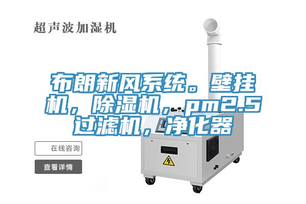 布朗新風係統。壁掛機，小黄片软件免费下载，pm2.5過濾機，淨化器