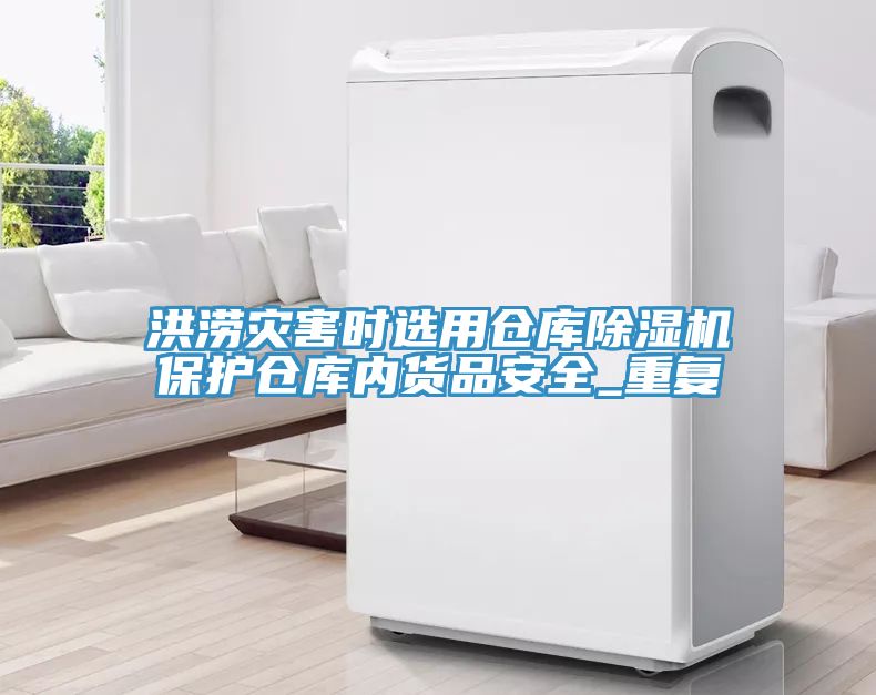 洪澇災害時選用倉庫小黄片软件免费下载保護倉庫內貨品安全_重複
