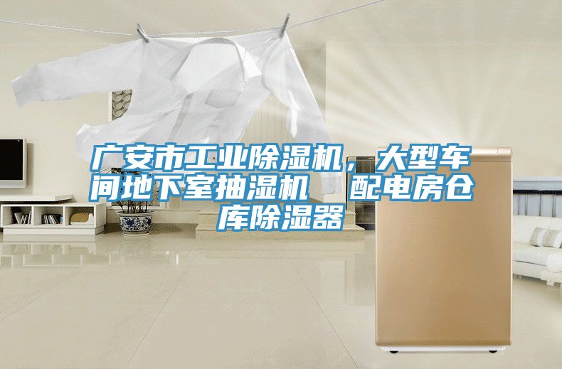 廣安市工業小黄片软件免费下载，大型車間地下室抽濕機  配電房倉庫除濕器