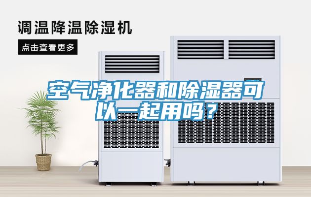 空氣淨化器和除濕器可以一起用嗎？