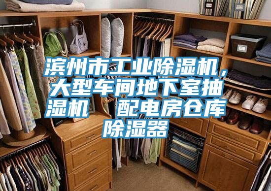 濱州市工業小黄片软件免费下载，大型車間地下室抽濕機  配電房倉庫除濕器